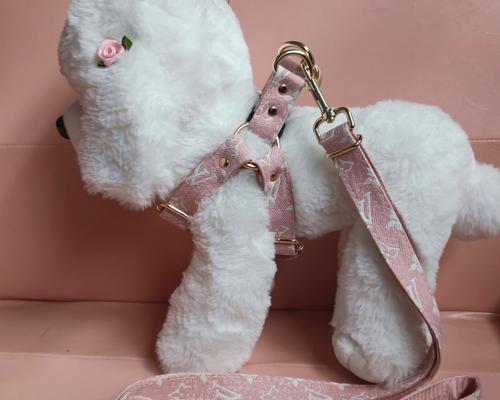 金毛牵引绳的使用方法与注意事项（让你的金毛牵引更轻松愉快，绳索选择要合适）