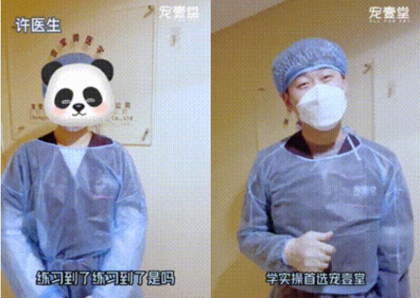 1月26日【重庆】(第125期)丨犬猫外科(高阶)班！含SUB(人人可实操)、乳