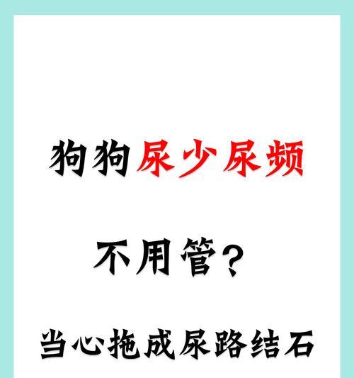 狗喝水后多久排尿？剖析狗狗排尿规律的关键因素（了解狗狗排尿时间，帮助您更好地照顾宠物）