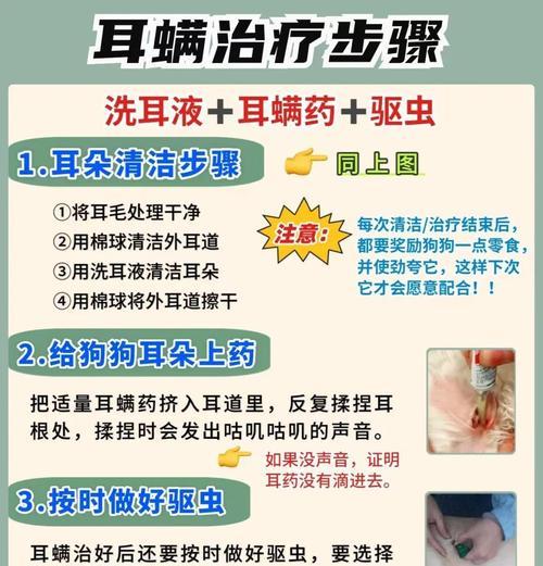 预防狗狗耳朵感染的有效方法（保护宠物耳朵健康，让狗狗远离耳朵感染）
